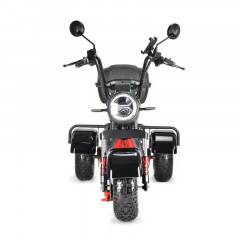 Электроскутер White Siberia TRIKE MINI 1500W Электроскутер White Siberia TRIKE MINI 1500W