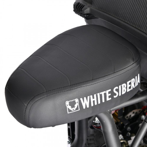 Электроскутер White Siberia TRIKE MINI 1500W в Барнауле
