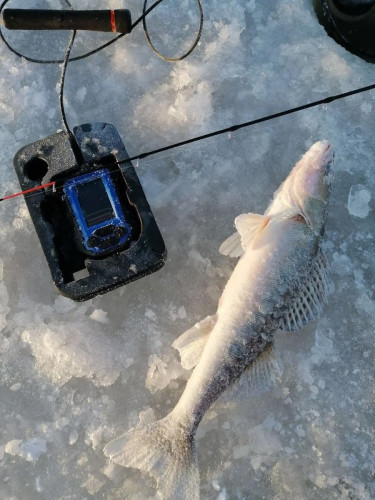 Эхолот Практик 8 в Барнауле
