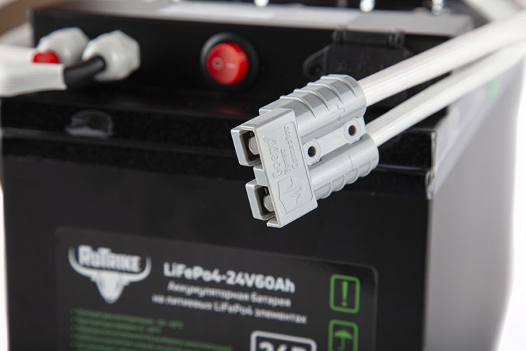 Тяговый железо-фосфатный аккумулятор RuTrike LiFePO4 60V48Ah (60А) в Барнауле