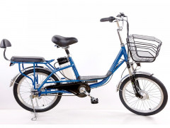 Электровелосипед Elbike Duet