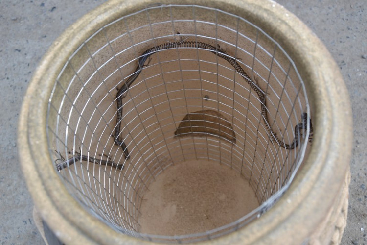 Тандыр Электрический Малый в Барнауле