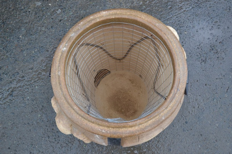 Тандыр Электрический Баран в Барнауле