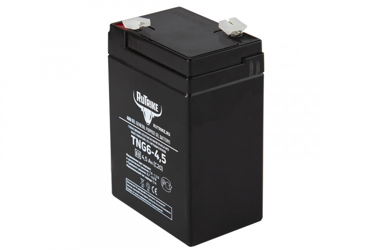Тяговый гелевый аккумулятор RuTrike TNG 6-4,5 (6V4,5A/H C20) в Барнауле