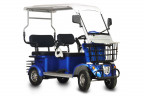 Пассажирский электротрицикл Rutrike Gelbert Hara в Барнауле