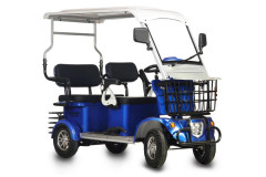 Пассажирский электротрицикл Rutrike Gelbert Hara