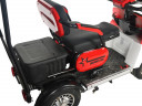 Пассажирский электротрицикл Rutrike Gelbert Lich в Барнауле