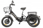 Электрофэтбайк Eltreco Green City e-ALFA Trike в Барнауле