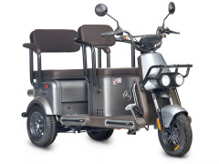 Пассажирский электротрицикл Wanshida U1-X
