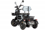 Электротрицикл Wanshida UN MOTO в Барнауле