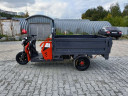Грузовой электрический трицикл Pаntеrа Гидрaвлика 75V1500W в Барнауле